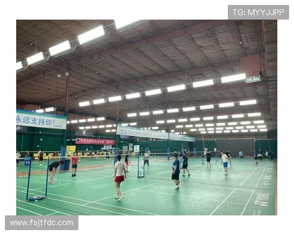 武汉羽毛球队的蜕变与成长：一段羽毛球的奋斗与荣耀之旅